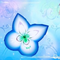 作者懶癌晚期莫催更