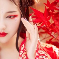一叶绽放一追寻