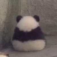 非常短的小說