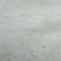 穿越铁甲威虫