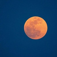 校园花花理智追星