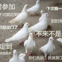 亚洲鸽王