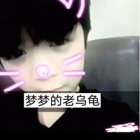 老乌龟