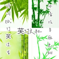 芺竹文社