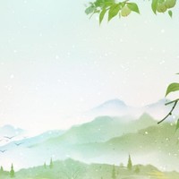 沈石溪著系列