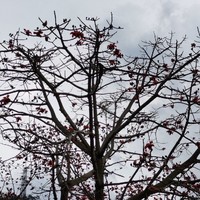 節(jié)奏緩慢