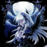 京剧猫白清黑化