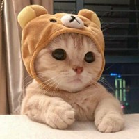 蕭蕭邀請駐站