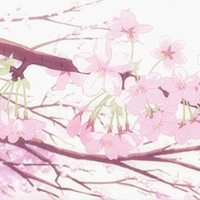 和你的对话