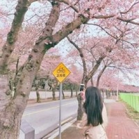 各種各樣的類型