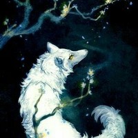 狼王夢(mèng)之危險(xiǎn)的邊緣
