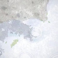 男配是cp
