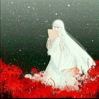 洛雨纷