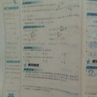 金王子的爱人