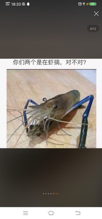 自行一派