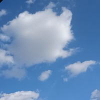 超認(rèn)真寫的