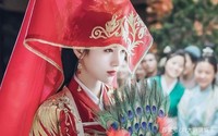 蓝翼的故事