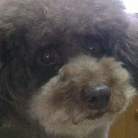 NCT金廷祐