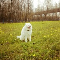 锦上白灯的人