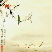 誰(shuí)讓你沒(méi)vlp