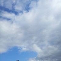 輕言