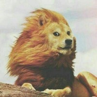 沙雕勇者
