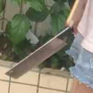 话本只能有一个云清鸢
