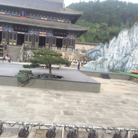 黑哥来访