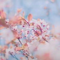 金御良閆