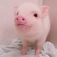 课本知识