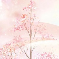 文笔有些渣请原谅