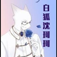 白狐沈珂珂