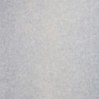 我在末世养丧尸