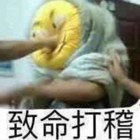 生存探索