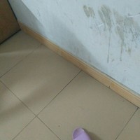 伪官方