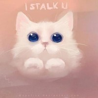 后期武月白青