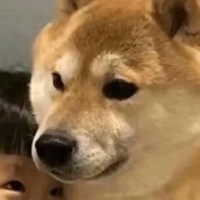 漂亮出品