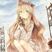 前期无女主