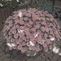 八组邀请入驻