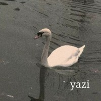 谜团算计