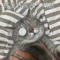 奈斯的文章