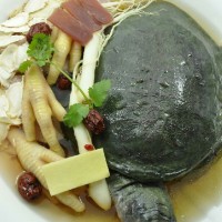 海龟汤