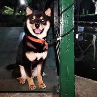 夏焓伊