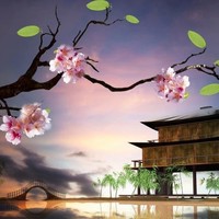心情感思