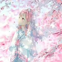 团宠皮皇