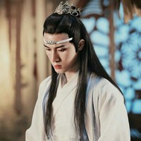 蓝曦臣cp穿越男主