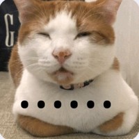 本人阅历无数正在加油