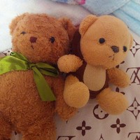 小熊和小布丁