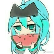 今天主角团加人了吗