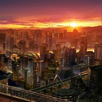 黑貓警長(zhǎng)之日常生活